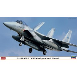 HASEGAWA 02100 1/72 F15J Eagle MSIP Configuration II Limited Edition