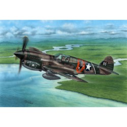SPECIAL HOBBY SH72338 1/72 P-40E Warhawk 'Claws and Teeth'