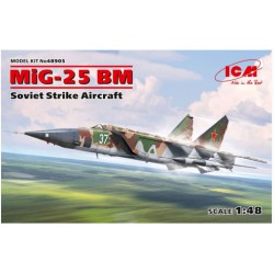 ICM 48905 1/48 MiG-25 BM, Soviet Strike Aircraft