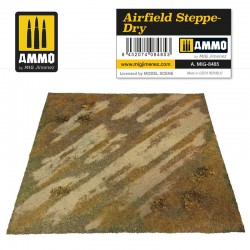 AMMO BY MIG A.MIG-8485 AIRFIELD STEPPE-DRY