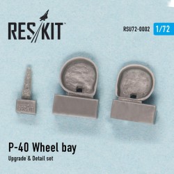 RESKIT RSU72-0002 1/72 P-40 D