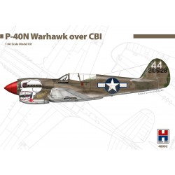 HOBBY 2000 48002 1/48 Curtiss P-40N Warhawk over CBI