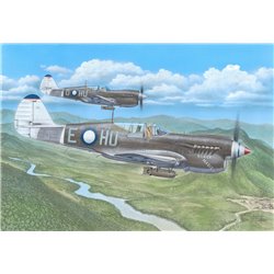 SPECIAL HOBBY SH72484 1/72 Kittyhawk Mk.IV ‘Over the Mediterranean and the Pacific’ 1/72