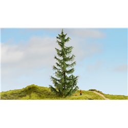 NOCH 20191 1/87 Spruce Tree