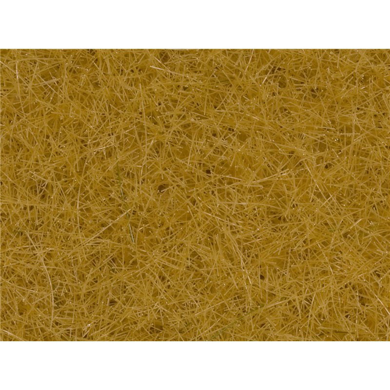 NOCH 08362 Scatter Grass