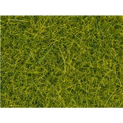 NOCH 08363 Scatter Grass