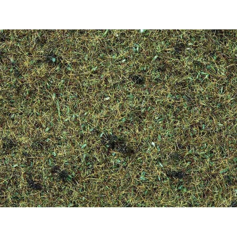 NOCH 08157 Scatter Grass "Forest Floor"
