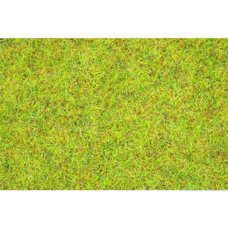NOCH 08151 Scatter Grass "Summer Meadow"