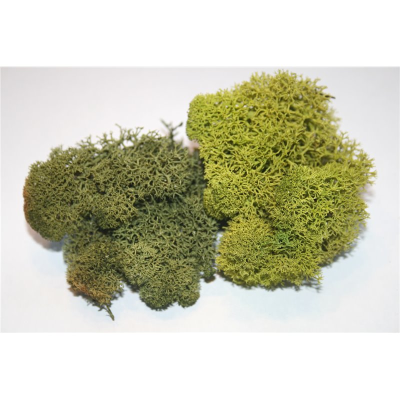 JOEFIX 121 Basic Green Moss 60 gr.